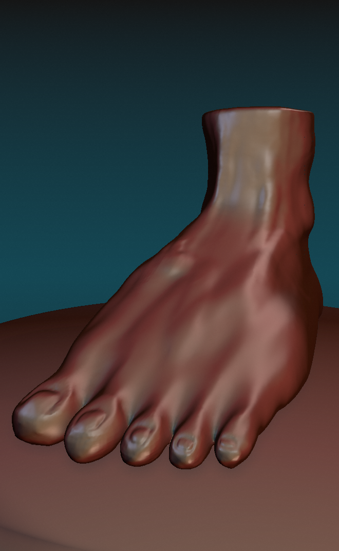 Foot Sculpt